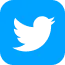 twiter logo icon